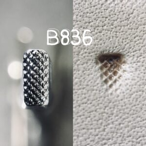 B836 (Coarse Bevelers)