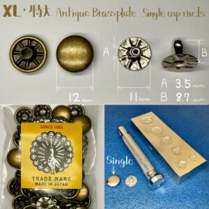 【Peacock】Single Cap Rivets (XL/ 12mm) Antique Brass Plate