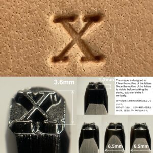 x (Small letter)