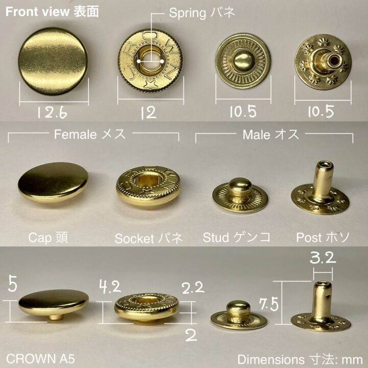 バネホック (大/ A5) 真鍮メッキ【CROWN】