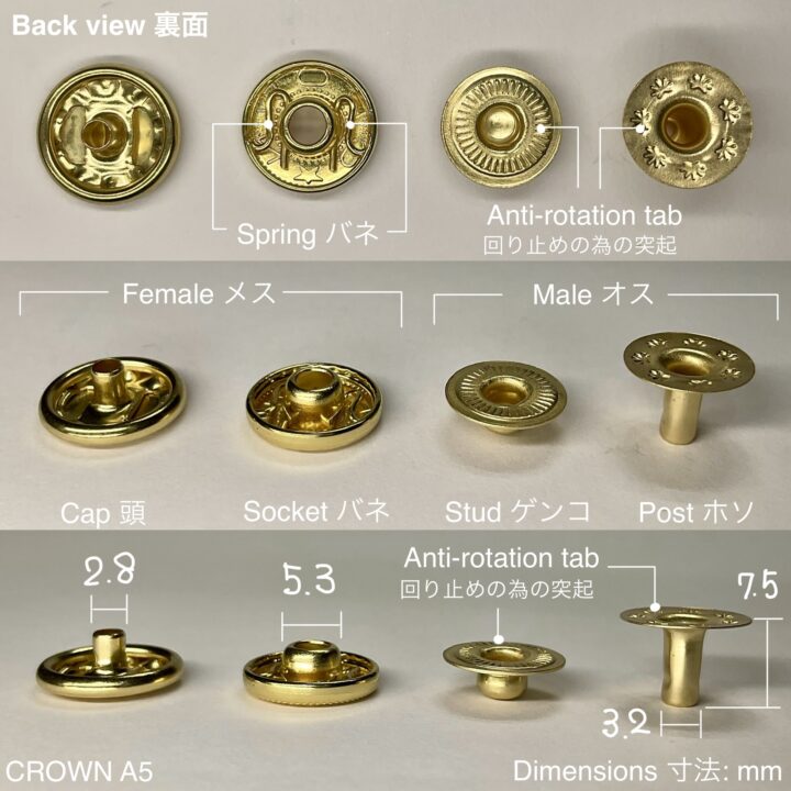 バネホック (大/ A5) 真鍮メッキ【CROWN】